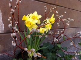 Våren är här